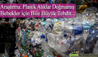 Plastik Atıklar Doğmamış Bebekler için Bile Büyük Tehdit  plastik atiklar dogmamis bebekler icin bile tehdit