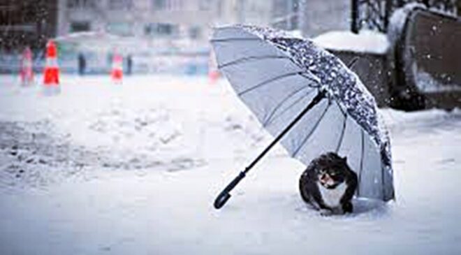 AKOM peş peşe uyardı: “Kar sağanağı görülebilir”