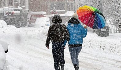 Şiddetli Soğuk ve kar yağışının ardından yoğun sıcaklar geliyor !