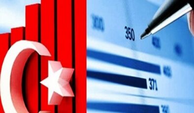Türkiye de Kriz Artık Ekonomik Değil, Sosyolojik